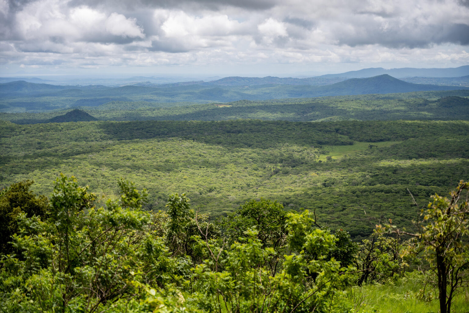Nkhotakota Wildlife Reserve Nkhotakota nkhotakota-wildlife-reserve-nkhotakota