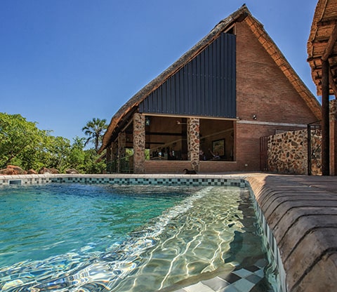 view of the pool and outside of the rafiki safari lodge
